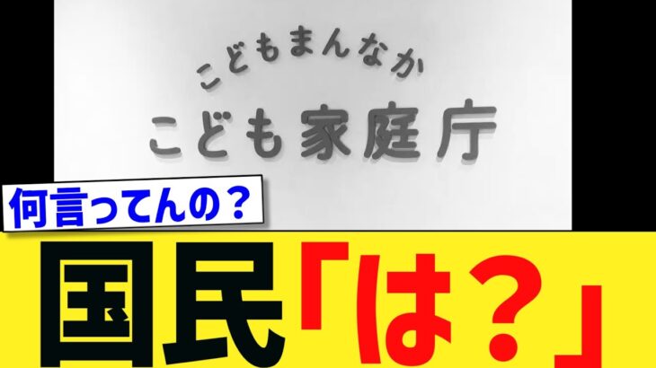 【マジかよ】独身税の行き先がこちらです → ネット民「ふざけんな」