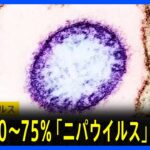 【必見】ニパウイルスとは？高致死率のウイルスとその影響