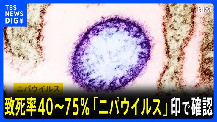 【必見】ニパウイルスとは？高致死率のウイルスとその影響