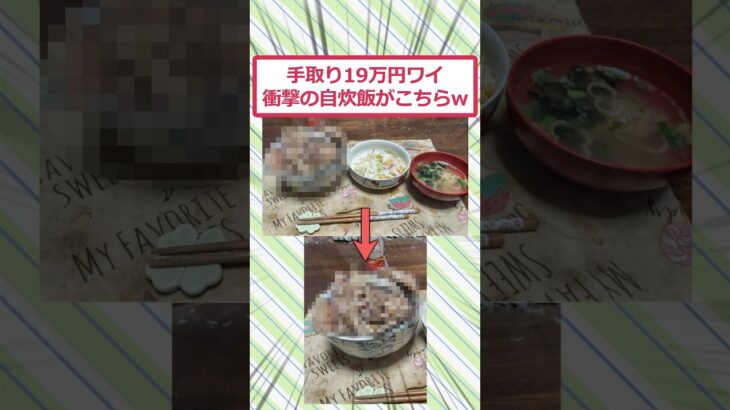 【動画】手取り19万円ワイ、衝撃の自炊飯がこちらww
