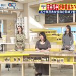 佐藤梨那アナ　ミニスカワンピースの▼ゾーン！！