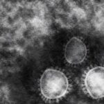 【悲報】ワイ、コロナになる