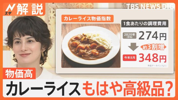 【経済】「カレーライス物価」51カ月連続で上昇・・1食365円で過去最高値更新