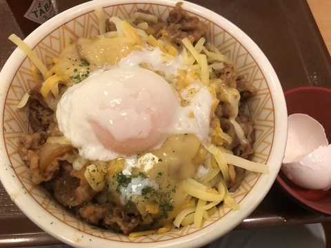 お前らチーズ牛丼の画像貼ってけ