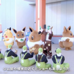 【画像】ポケパーク、なんかクッソしょぼい