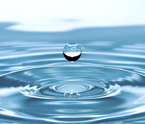 水のすごい特徴で打線組んだ