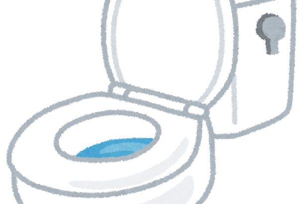 “うんち”はどこでしますか？　1万人が暮らす街で排便をシミュレーション　米大学が真面目に調査したワケ