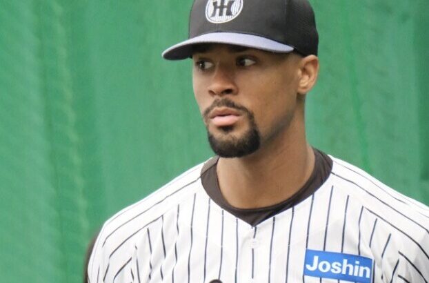 日シリ、デュプがアカんけど才木、遥人もやられとるんよね