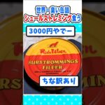 【マジかよ】世界一臭い缶詰wシュールストレミング食べる!