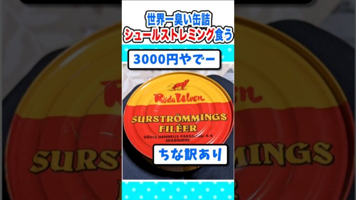 【マジかよ】世界一臭い缶詰wシュールストレミング食べる!
