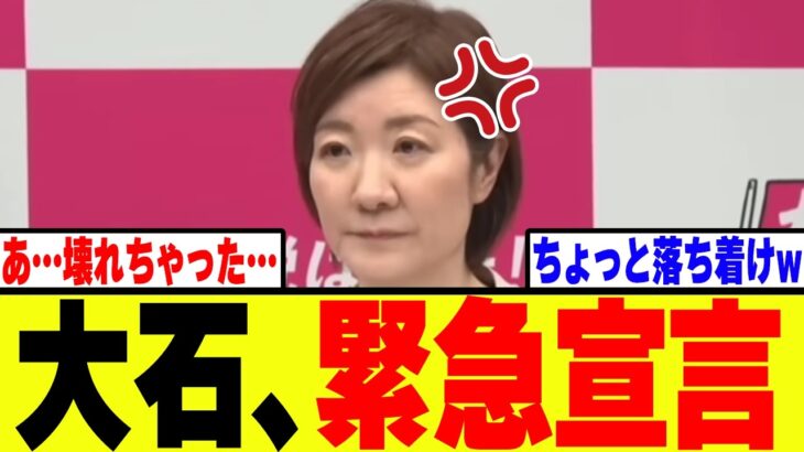 【衝撃】れいわ・大石、感情を制御できず党内を揺るがすとんでもない宣言をしてしまうwww