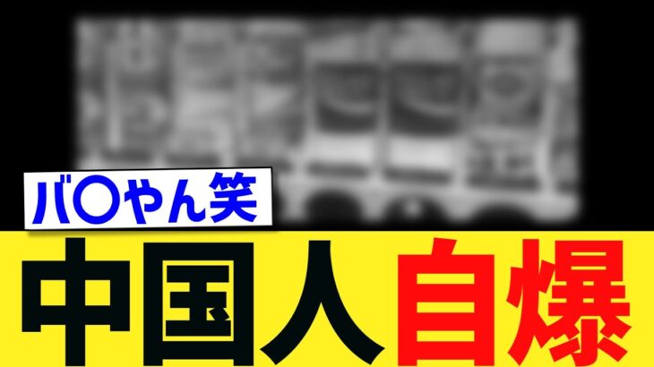 【仰天】中国人が”日本潰し”をしようとして完全に自爆するwwwww