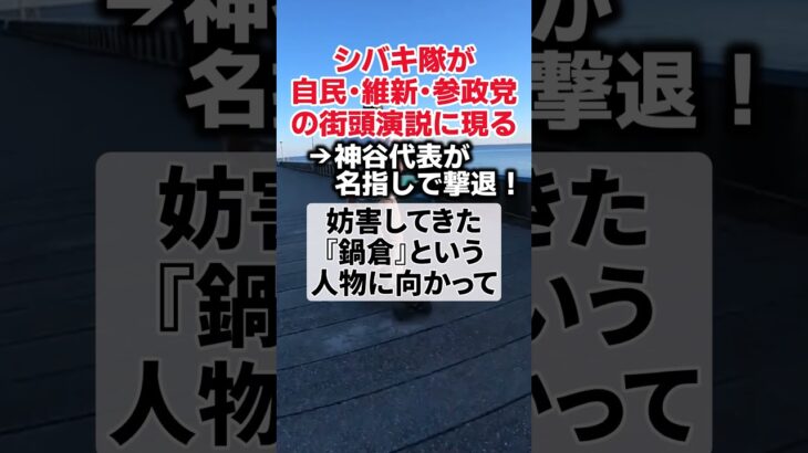 【衝撃】シバキ隊が自民・維新・参政党の街頭演説で周りの人達に散々迷惑をかけて神谷代表が驚きの行動に出るwww