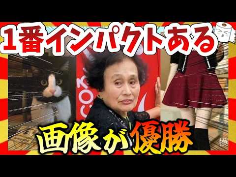 【マジかよ】いくらなんでもインパクトが強すぎる面白画像&映像集!ガルちゃんまとめ/2ch