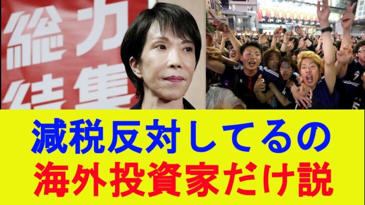 【マジかよ】減税で生活守るだけなのに海外が口出ししてくる謎