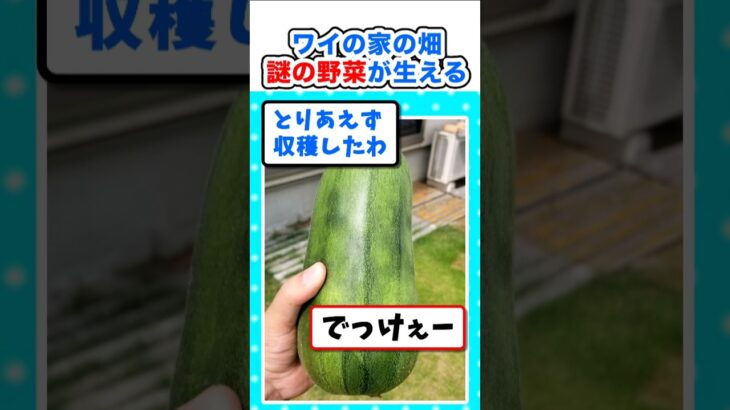 【衝撃】ワイの家の畑、謎の野菜が生えたので食べるw
