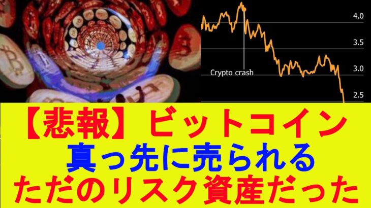 【マジかよ】ビットコイン、真っ先に売られるただのリスク資産だった