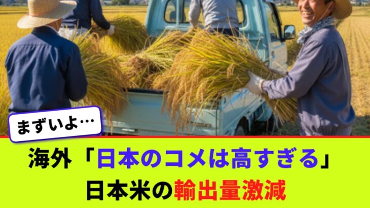 【仰天】海外「日本のコメは高すぎる」 輸出量激減の日本米