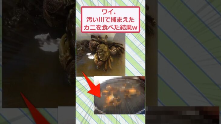 【衝撃】ワイ、汚い川で捕まえたカニを食べた結果ww