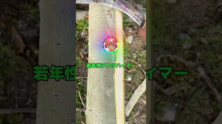 【ワンピース】ルフィ「サンジ!!飯くれ!!」サンジ「さっき食ったばっかだろうが!!!」