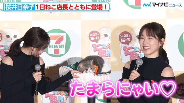 【話題】猫好き必見！セブンイレブンの新商品「にゃんこ発見！」の全貌