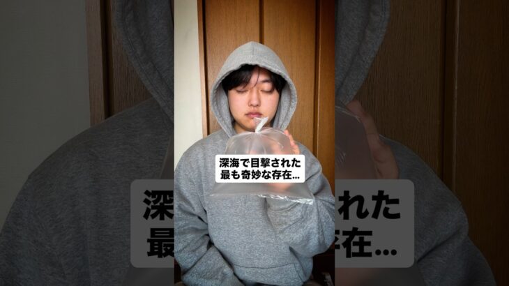 【動画】ガチのマジで深海で化け物が発見される