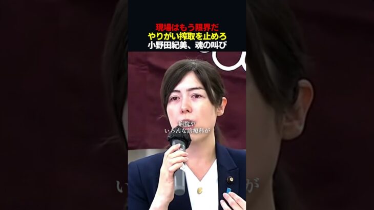 【動画】やりがい搾取を止めろ。小野田紀美が断じる、公定価格の限界