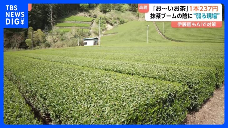 【悲報】“ペットボトルのお茶” 来月値上げ 「お～いお茶」が237円に・・・