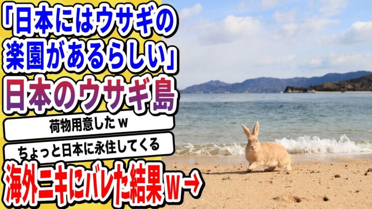 【仰天】瀬戸内海に浮かぶ「ウサギの島」海外ニキにバレた結果→大注目中だと話題にwwwww