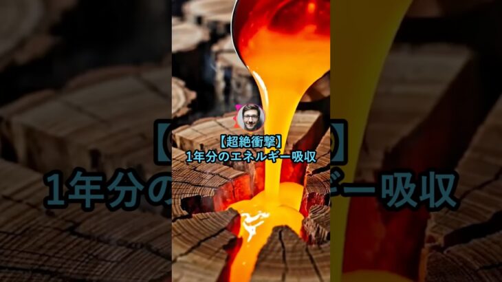 【仰天】1年分のエネルギーを一瞬で使った結果www