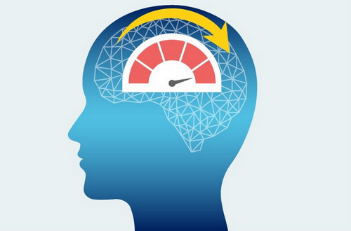 ただの暇つぶしとは言わせない：脳のアンチエイジングに効く「攻めの趣味」