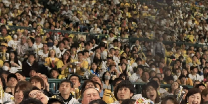 ファン歴44年ニキ『甲子園観戦0回』←こういう人他にもおるん？