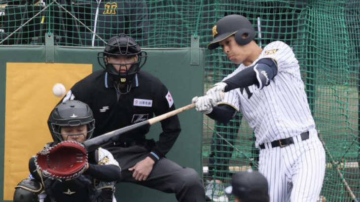 岡城『元ショートで大学3年生からセンターです』←守備は期待できるんか？