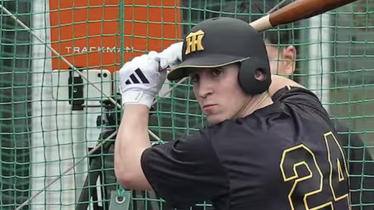 ディベイニーさん、思ったより長打力がなさそう