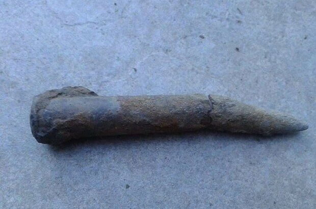 【謎】20代男性の直腸から第一次世界大戦の不発弾が取り出される＝フランス