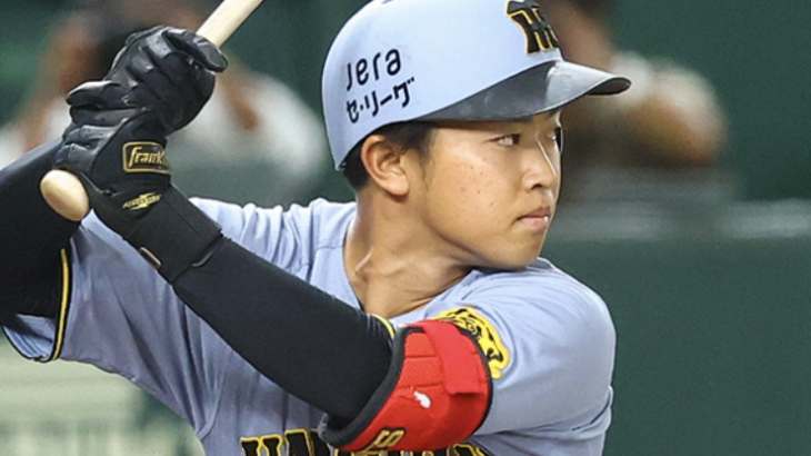 阪神今年のレフト候補→立石、前川、高寺、岡城、谷端、濱田、中川、豊田、西純、熊谷、小野寺、ダーシマ、井坪