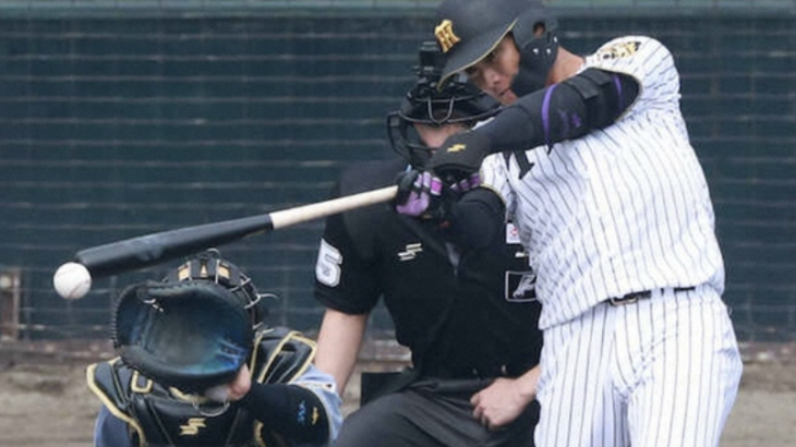 阪神の二軍、本日の安打者が小幡、糸原、西純矢という事実