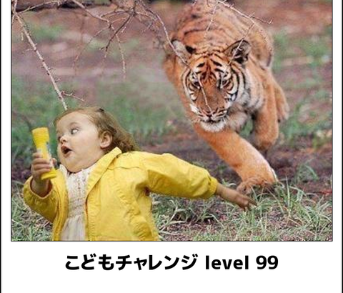 【画像】ボケての最高傑作、ついに決まってしまう