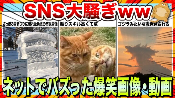 【仰天】SNSで秒速拡散されたwwネットでバズりまくったおもしろ画像・動画集www