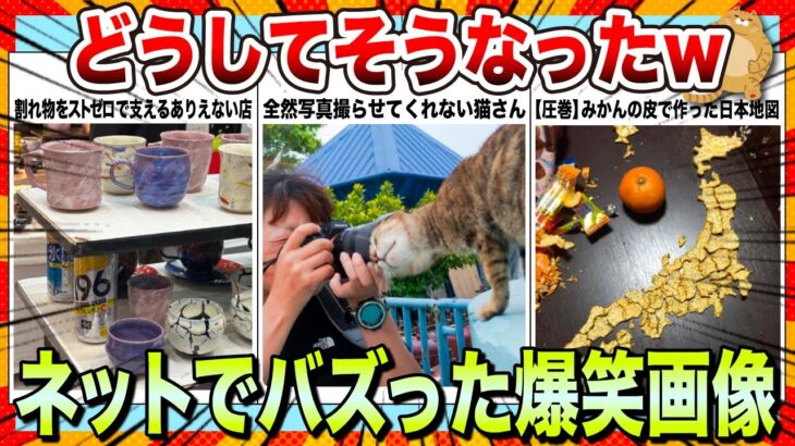 【仰天】不覚にも笑ってしまうwwネットでバズりまくったおもしろ画像集www