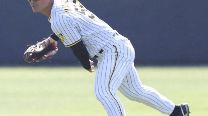 阪神のレフトレギュラー、ほぼ決まりか…高寺もっと見たいんやけどなぁ層が厚すぎる