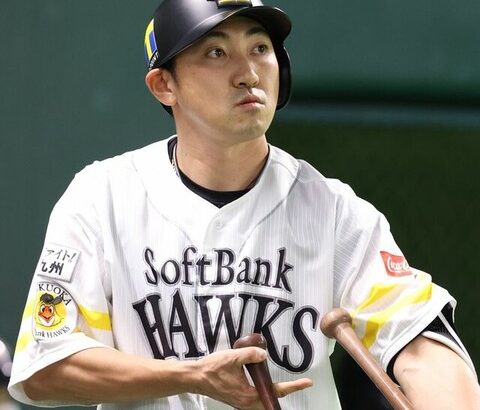 人間って内川が猿を改造して出来た種族らしいな