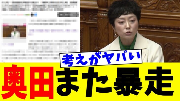 【衝撃】れいわ奥田の暴走が止まらない・・・ネット民「戦争前提なのヤバすぎ」