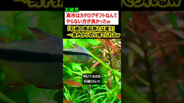 【仰天】石破茂「高市はカタログギフトなんてやらない方が良かったw」→総理周辺「石破の商品券とは違う」身内からバッサリw