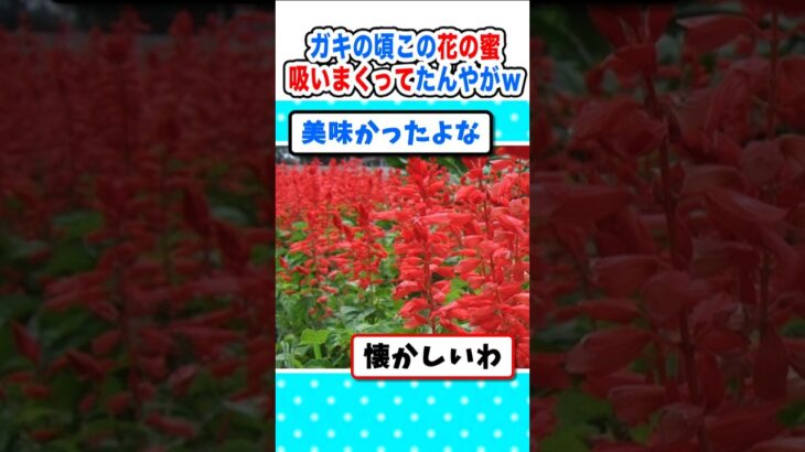 【衝撃】毒花疑惑!?子供の頃この花の蜜吸いまくってた奴w