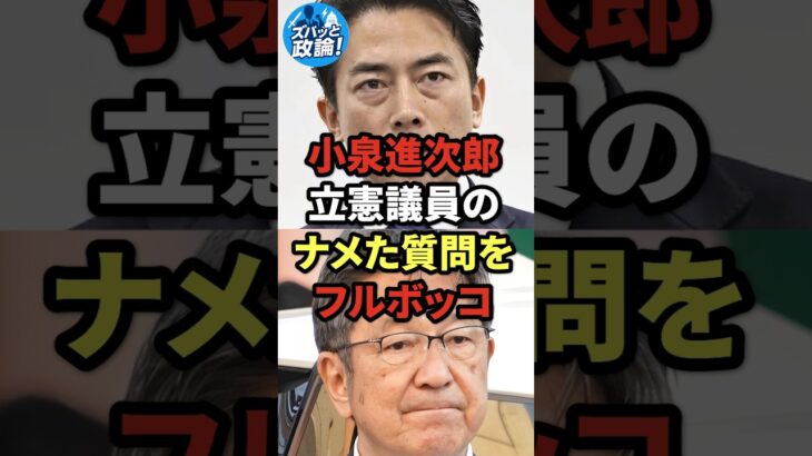 【衝撃】小泉進次郎、立憲議員のナメた質問をフルボッコ