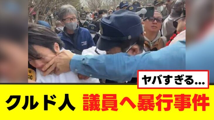 【衝撃】クルド人、議員へ暴行事件を起こす動画が話題に