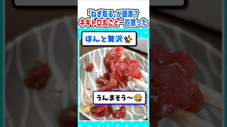 【衝撃】「ねぎ取る」が語源?ネギトロ丸ごと一匹買って来たから食べるw