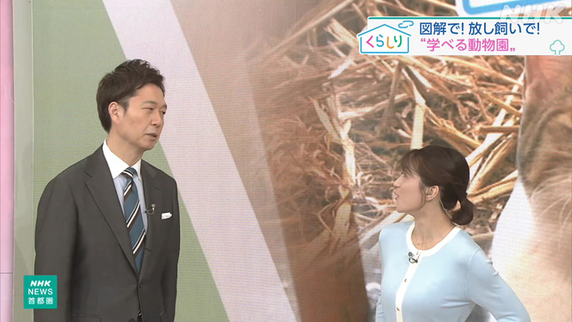 赤木野々花アナ　胸元くっきり衣装！！【GIF動画あり】