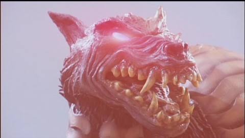 （ヽ´ん`）「統失が治ったら、同居家族と犬が幻覚だった」